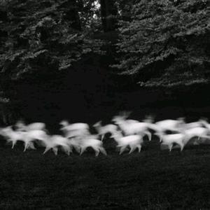 国产在线偷录视频
